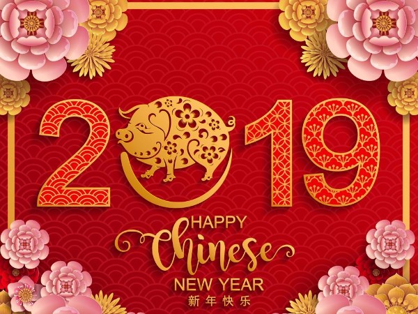 金豬送喜辭舊歲，雙志陪您慶新春！